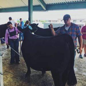 Meet your Posher, Blake